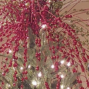 Meet your Posher, Mavis